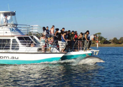 Estuary dolphins Mandurah Cruises