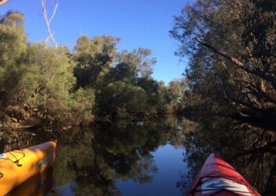 Estuary Salt Bush kayak tour